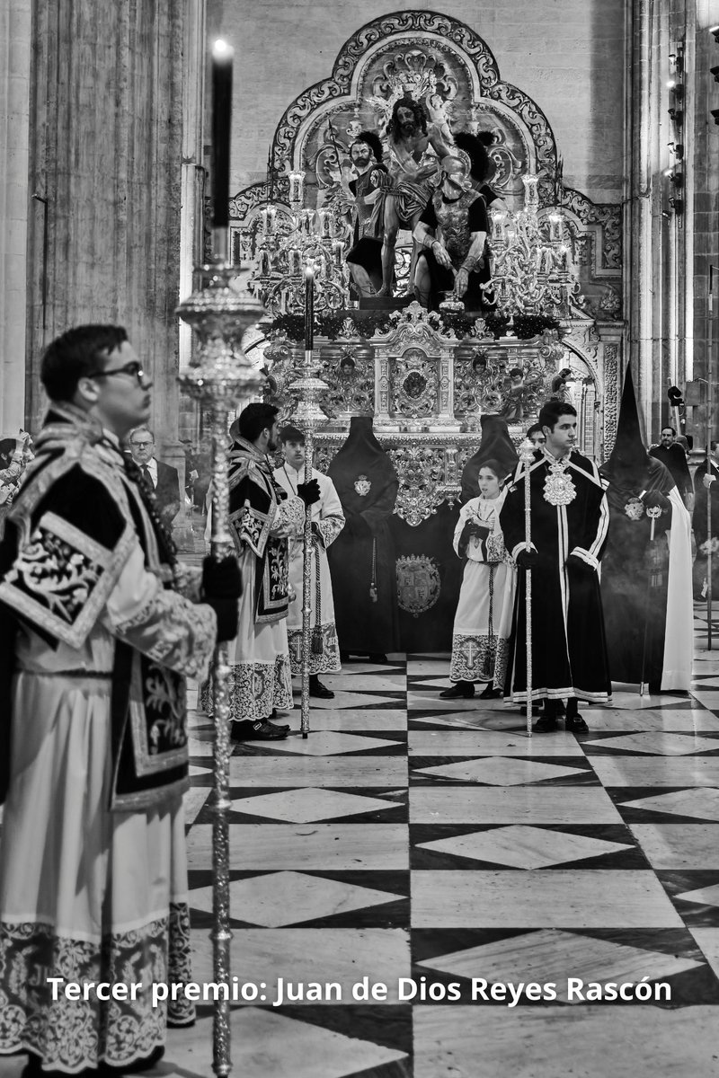 Distrito Macarena (Sevilla) tweet media