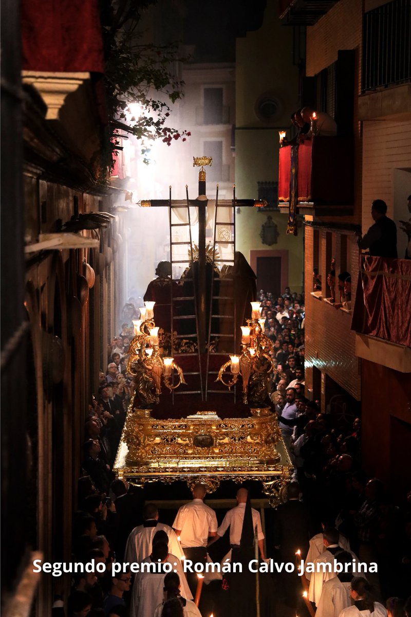 Distrito Macarena (Sevilla) tweet media