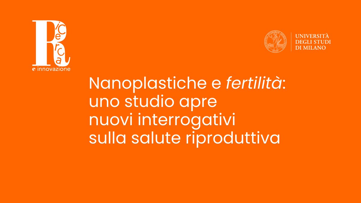 Università degli Studi di Milano tweet media