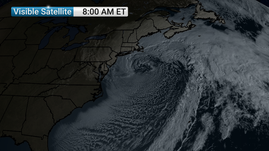 Veronica Dolan tweet media