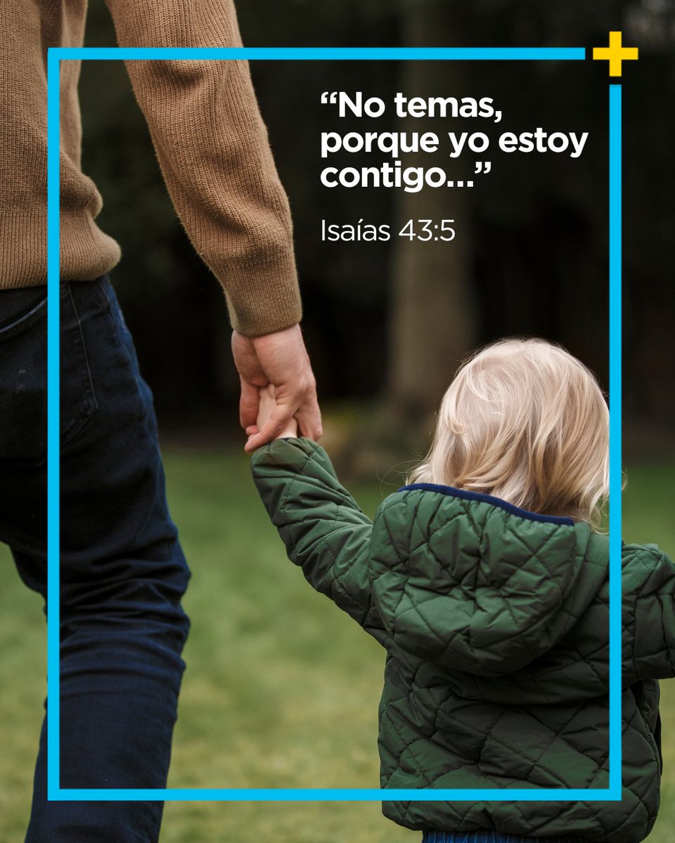 canalLUZ tweet media