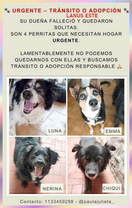 Rt
Difundimos