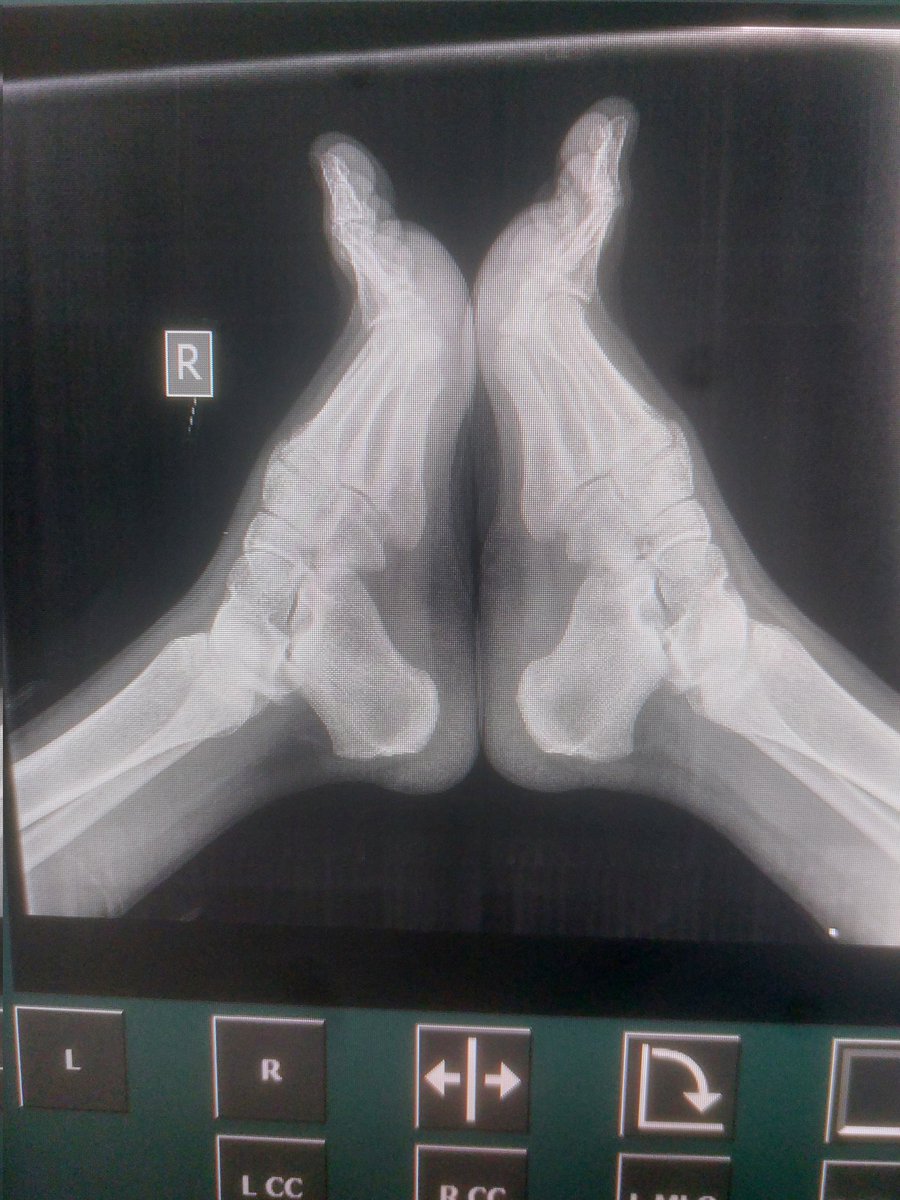 Eileen's Family 🍉🇵🇸 tweet media