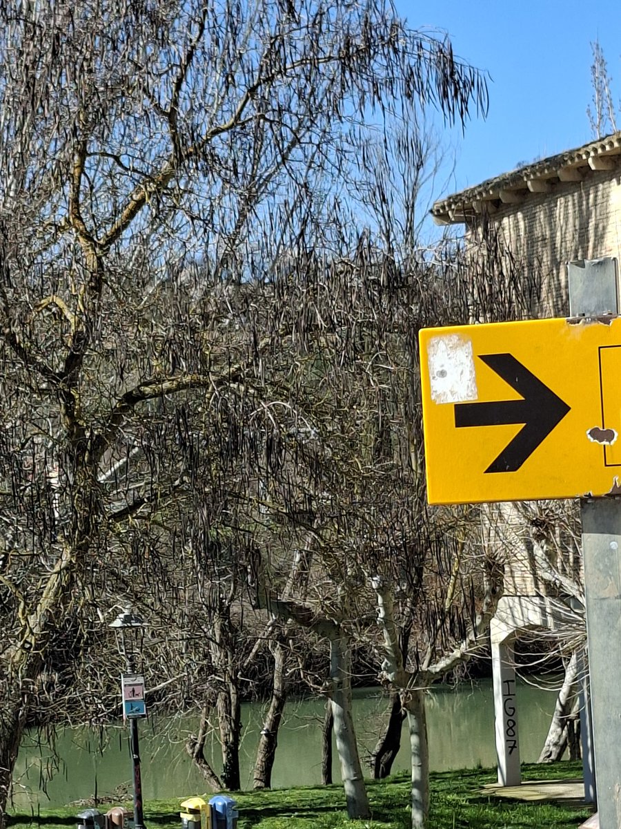 AEMET_Navarra's tweet photo. En #Navarra, a unos 22 km de distancia de #Pamplona esta #PuentelaReina uno de los municipios que atraviesa el río #Arga, y que  acumula precipitaciones anuales significativas. Por ejemplo la precipitación fue de hasta 815,5 litros/2 en el año 1997 y hasta 721,5 litros/m2 en el año 1979. Próximamente, nuestro colaborador en esta localidad, recibirá un reconocimiento de @AEMET_Navarra, con motivo del próximo #DiaMeteorologicoMundial el 23 de marzo 2026