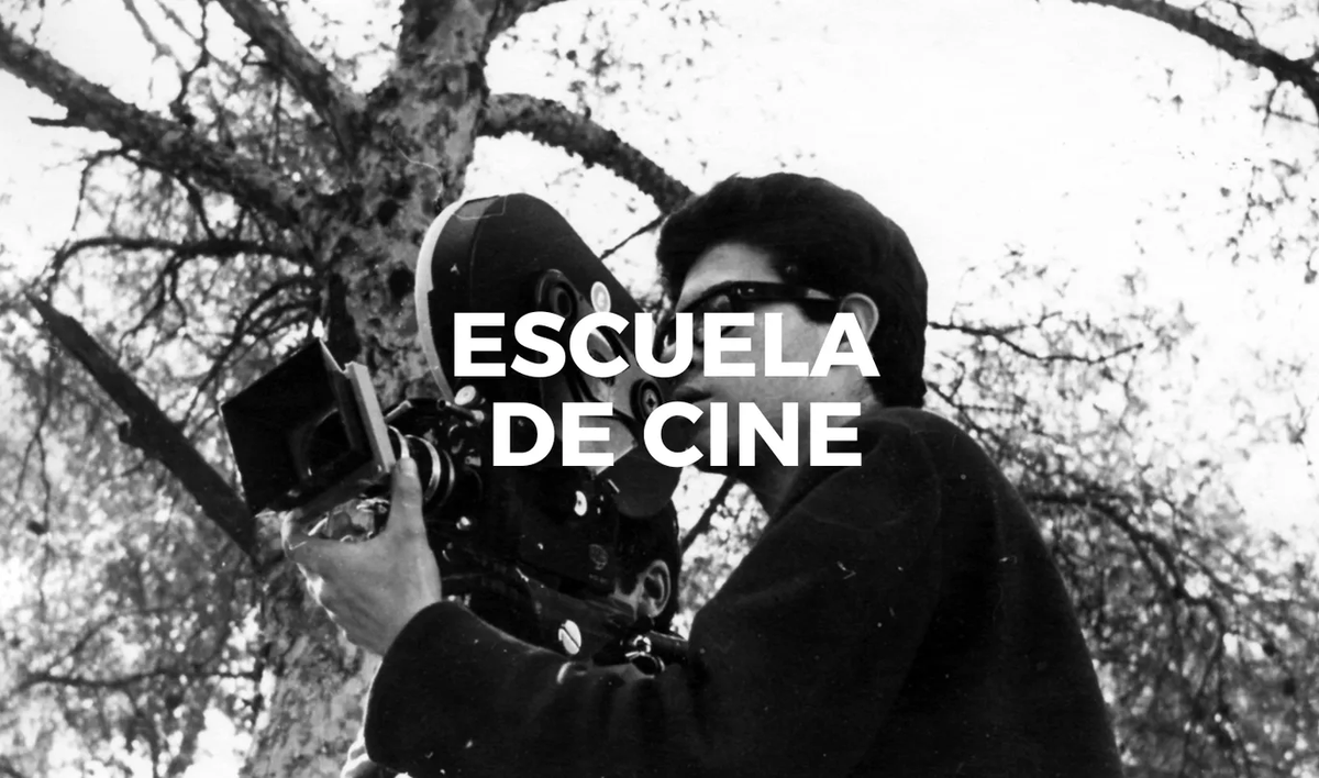 Ministerio de Cultura tweet media