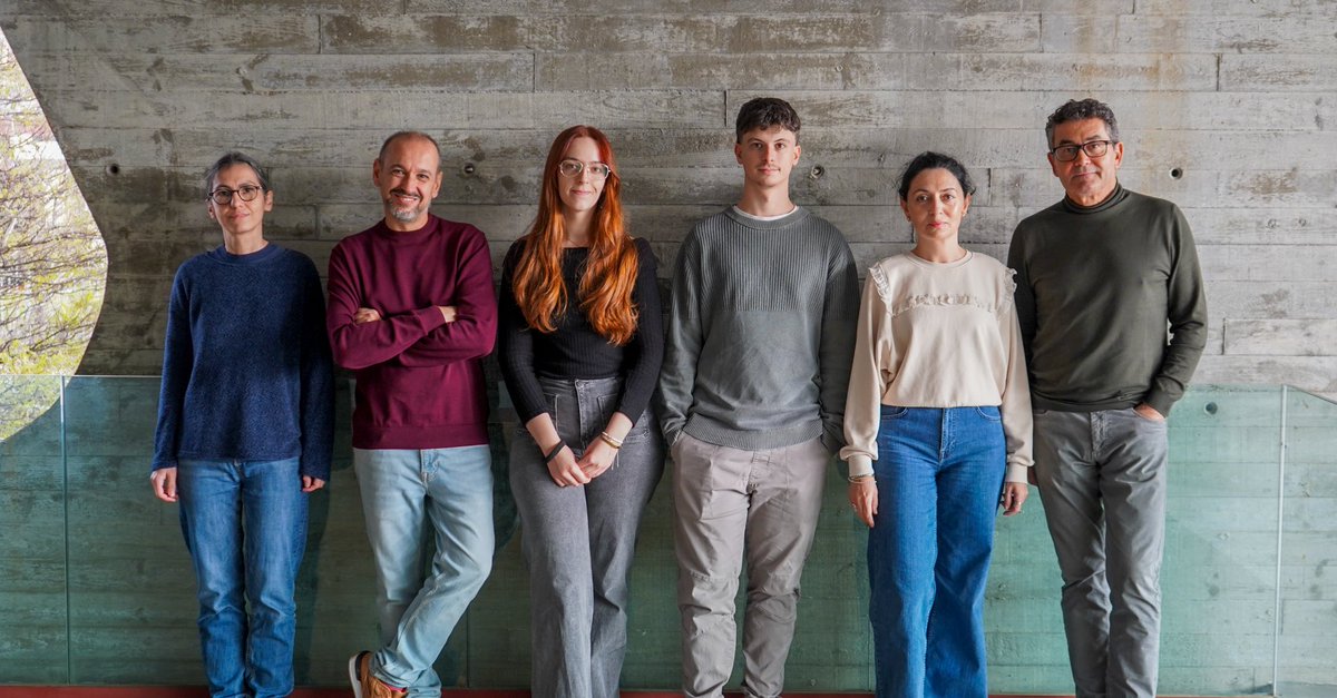 ibfg_es's tweet image. 📖 Lee el artículo completo → doi.org/10.1016/j.isci…
🧾 Gálvez-Merchán et al., 2026 – iScience

#iScience #CellCycle #BiologíaCelular #Investigación #Ciencia #Research