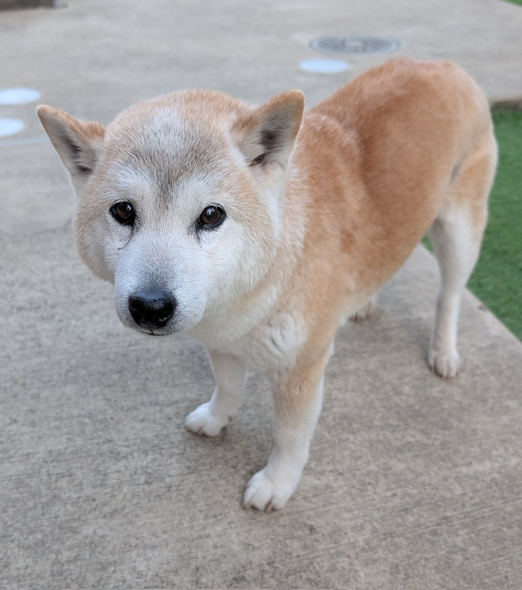 ごうやま (@UfedMLxsFWF92uf) / Posts / X