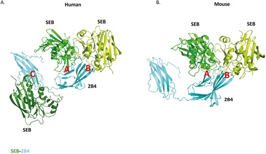 Clinical & Experimental Immunology tweet media