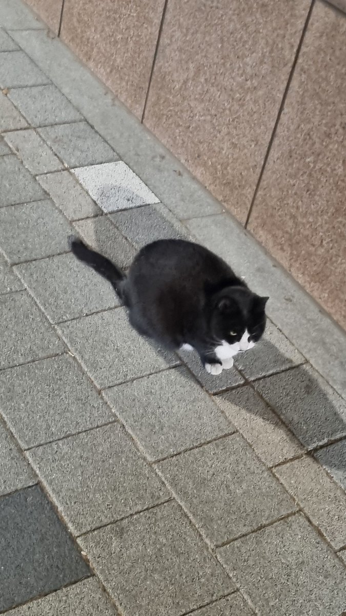 quantizeAll tweet media