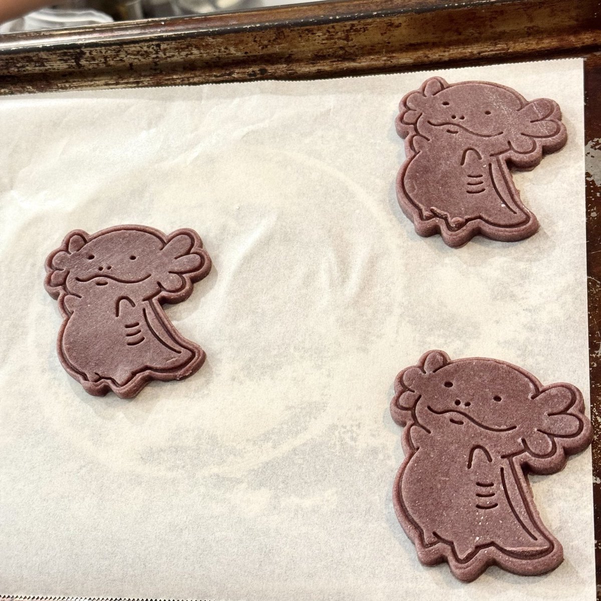 そしてなんと！なんと！MoMoクッキーが焼き上がりましたー💕でかっ