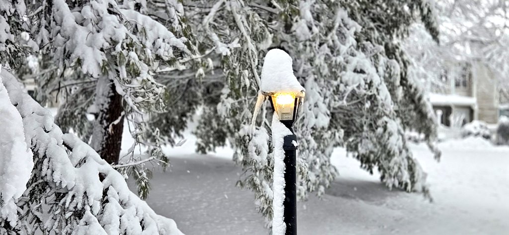 MikeMostwill's tweet photo. Up to 13.5" in Bedminster, NJ (Somerset County) @NWS_MountHolly SMNJ-115 https://t.co/R9GzVoX7n5
