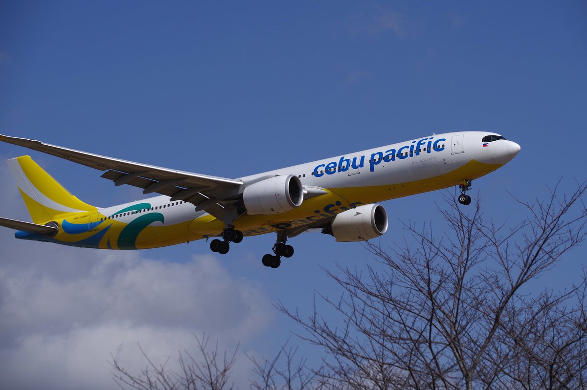 ようこそ日本に」3 #PENTAX KP J limited ＋ HD DA 55-300mm PLM