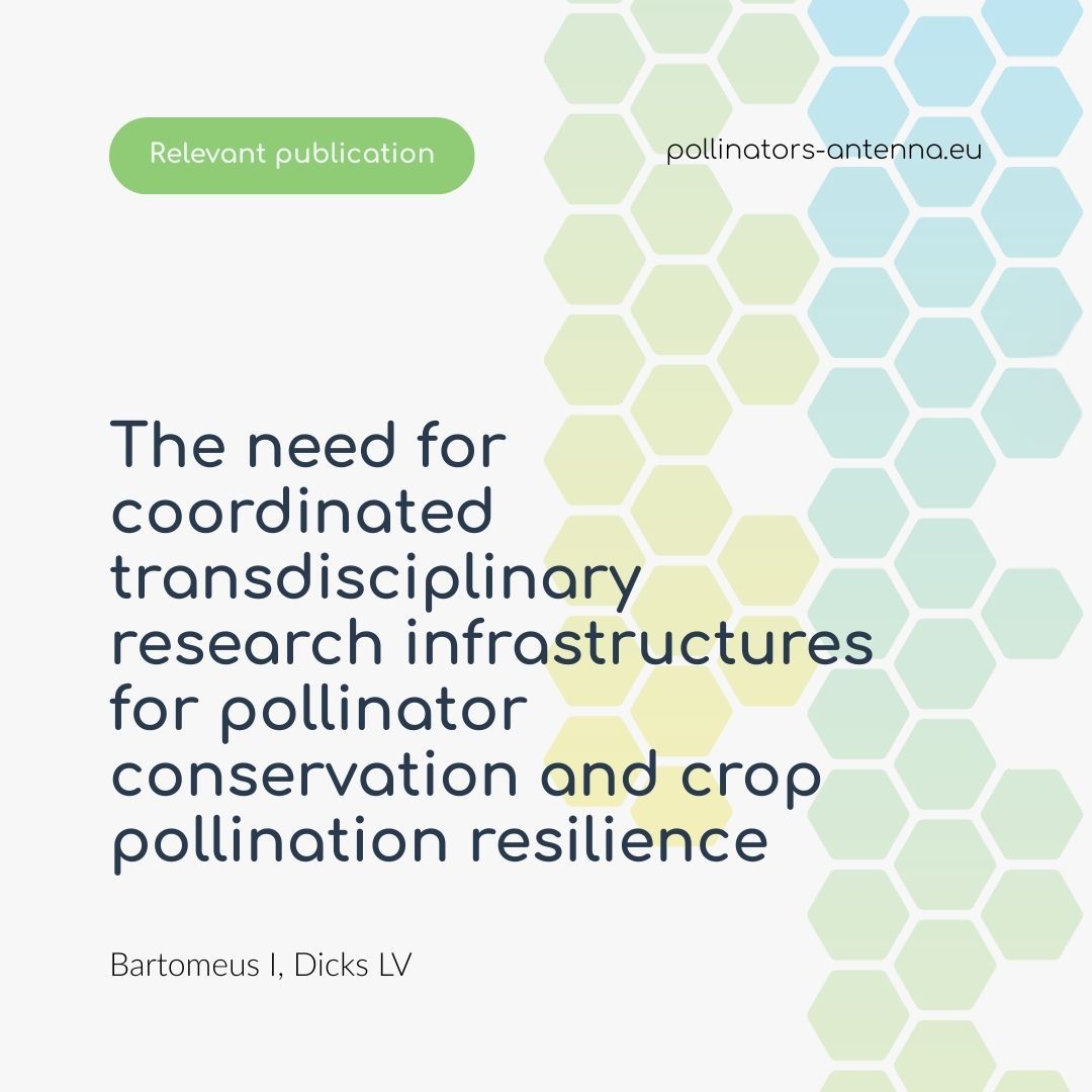 ANTENNA_project's tweet photo. 🐝 Pollinators are essential for crops and wild plants, yet data on their declines are limited and biased. Coordinated research infrastructures are key to monitoring trends and supporting pollinator conservation in agroecosystems. 

📝 https://t.co/80mW0W1hgQ 

#ANTENNAexpertise https://t.co/whGmdvkPkM