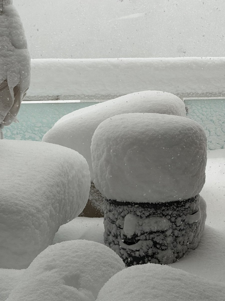 Looks like a big marshmallow <a href="/foxweather/">FOX Weather</a> #snowstorm