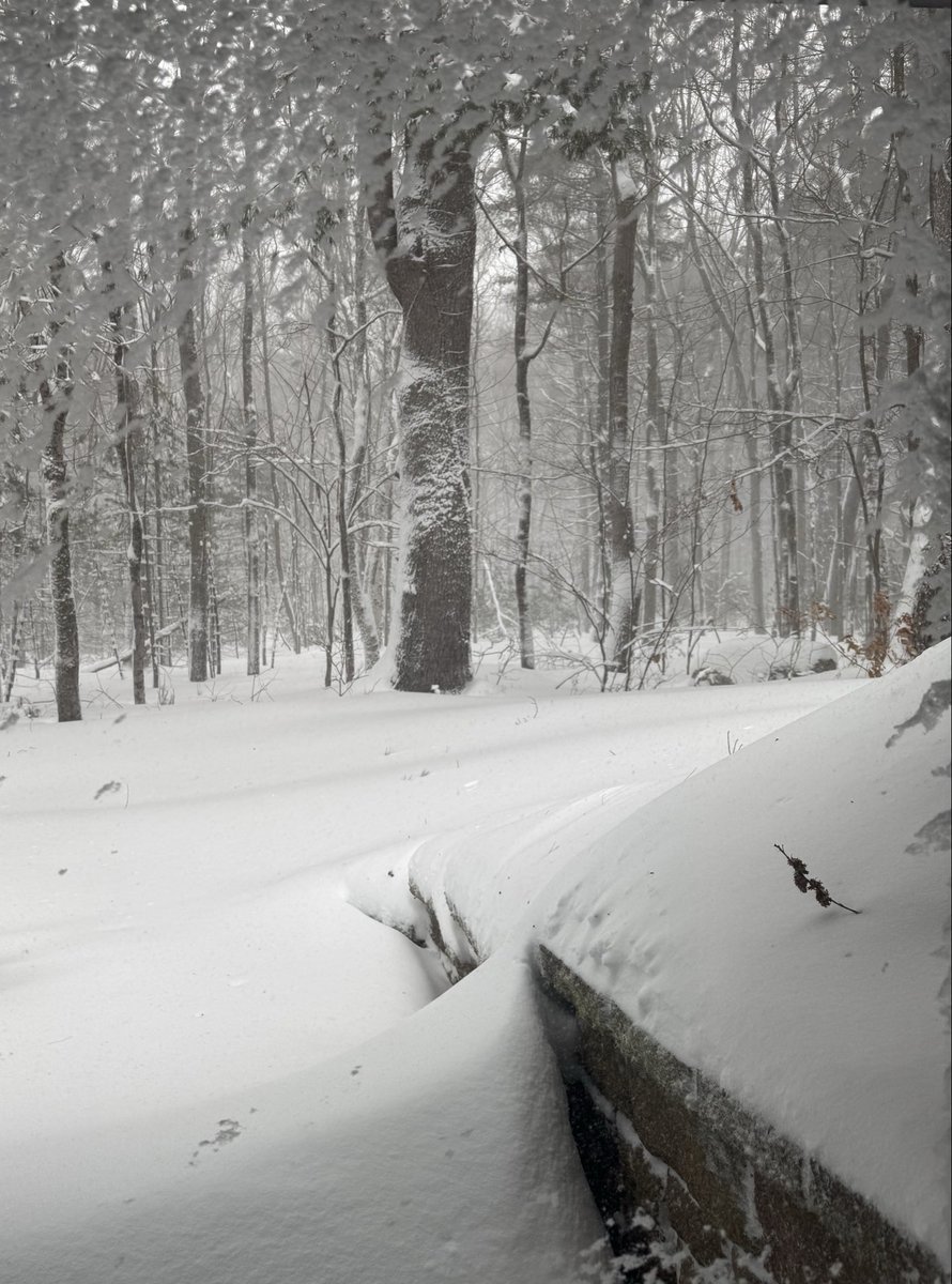 I could get a better picture but I am not going outside