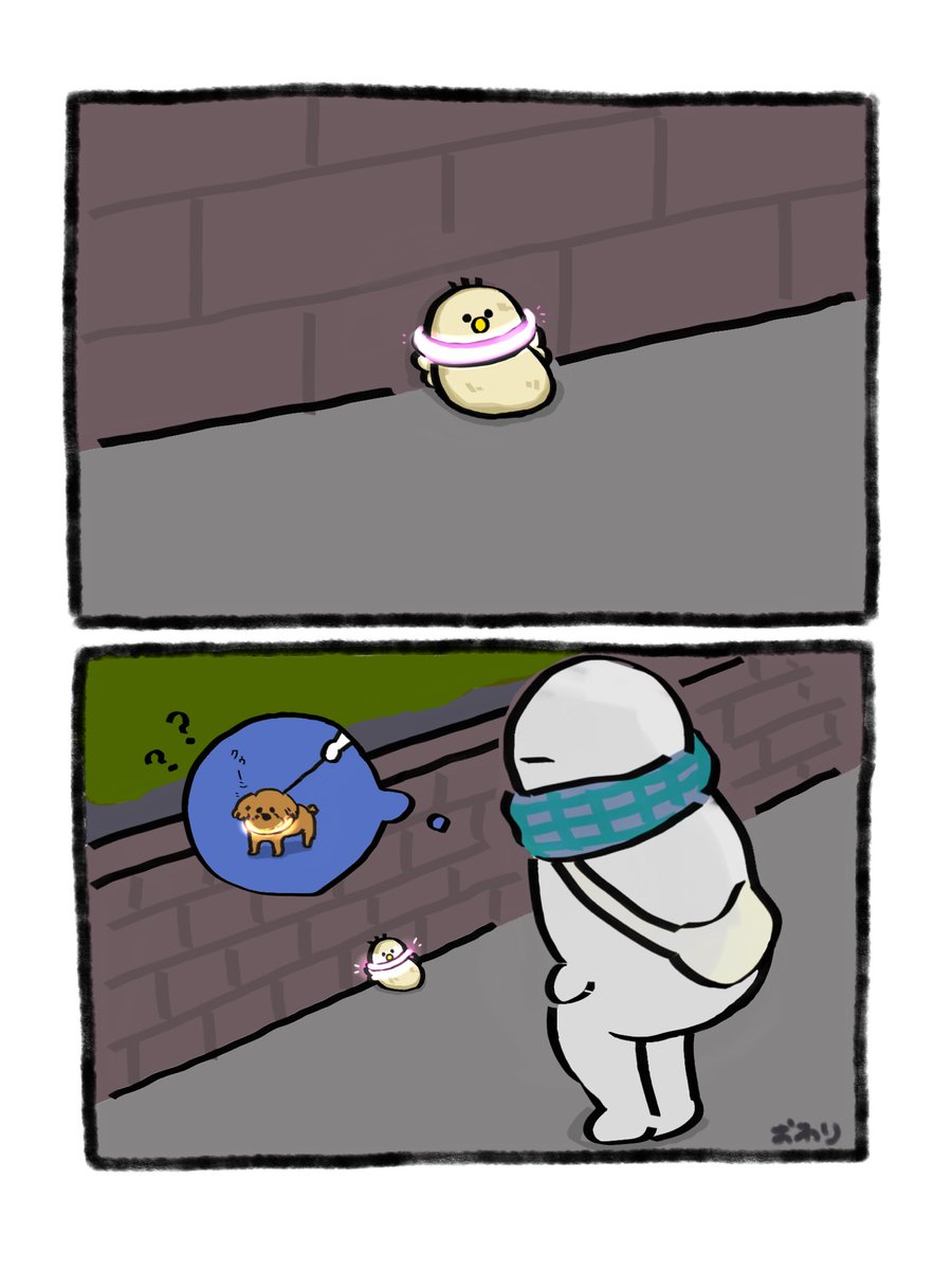 ハム坊 tweet media