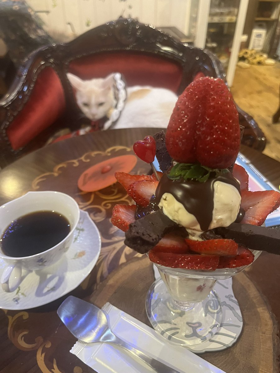 ちあき🌸第6期満開部🌸 tweet media