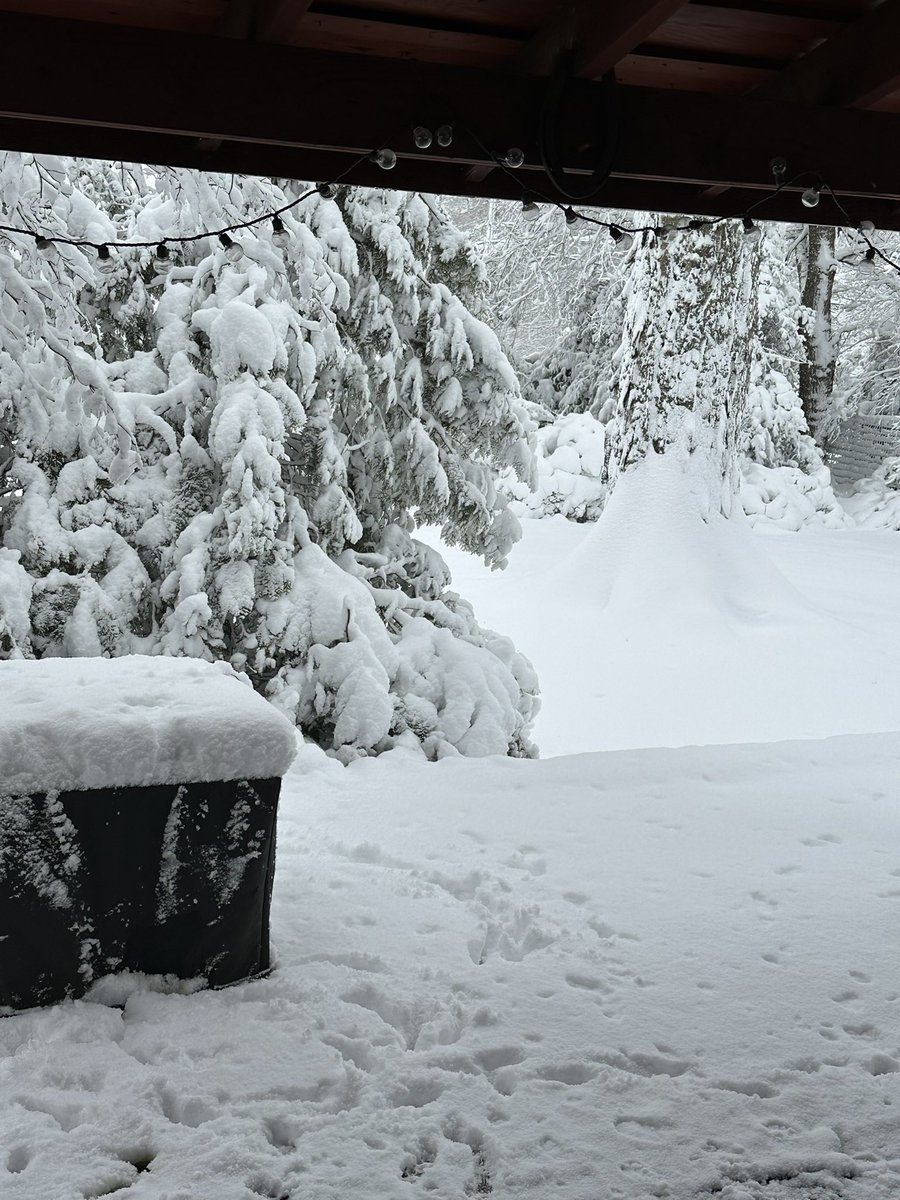 David Cuozzo tweet media