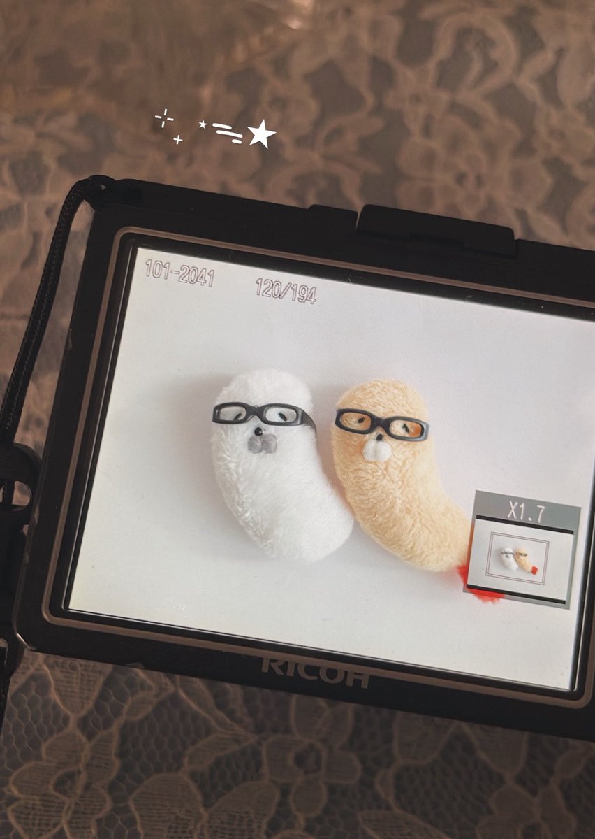 리리피피 tweet media