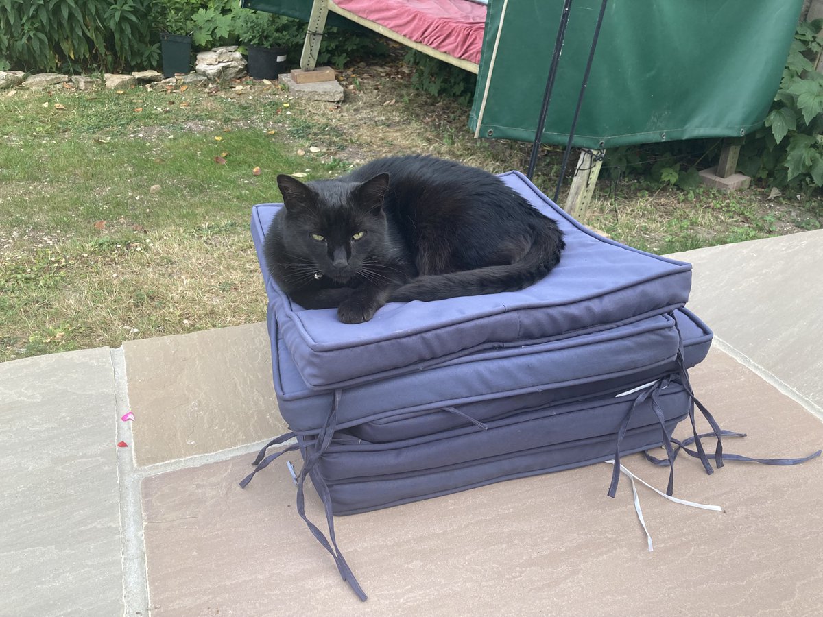 Tom Watson tweet media