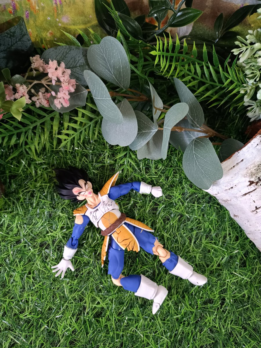 B: "I have to call mom and tell her to prepare for the wedding! Aaaah what dress am I going to wear? 🤩💖"
V: ".... What the hell is going on on this planet?!😦"
👰‍♀️💍💒
#Vegebul #ベジブル