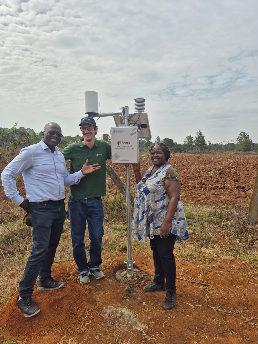 FAO in Kenya tweet media