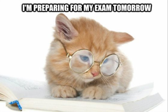 Good luck at your midterms this week!  If you need help and support, you know we are ALWAYS here for YOU!! HUGS!🫶