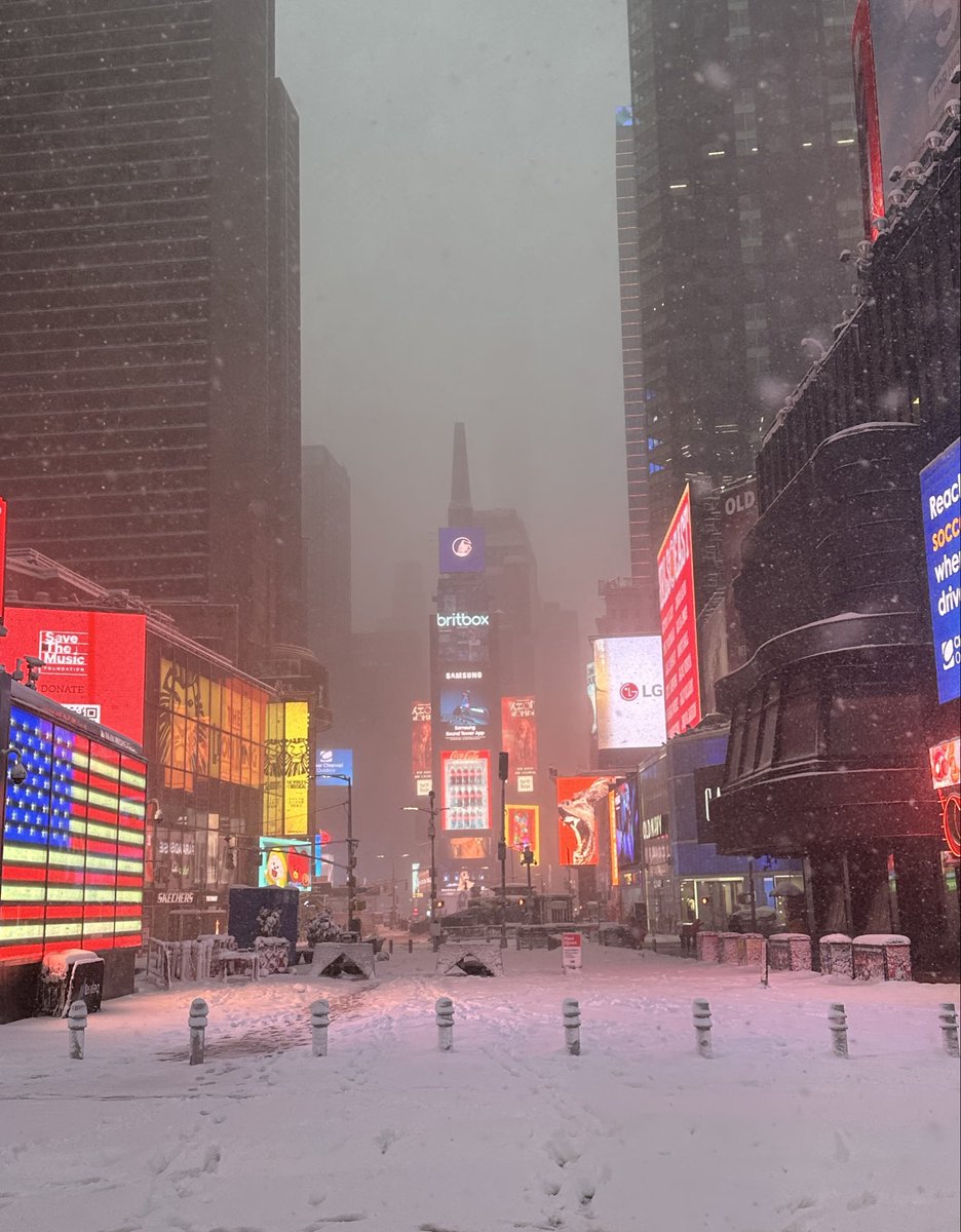 Setzeus 🇺🇸 tweet media