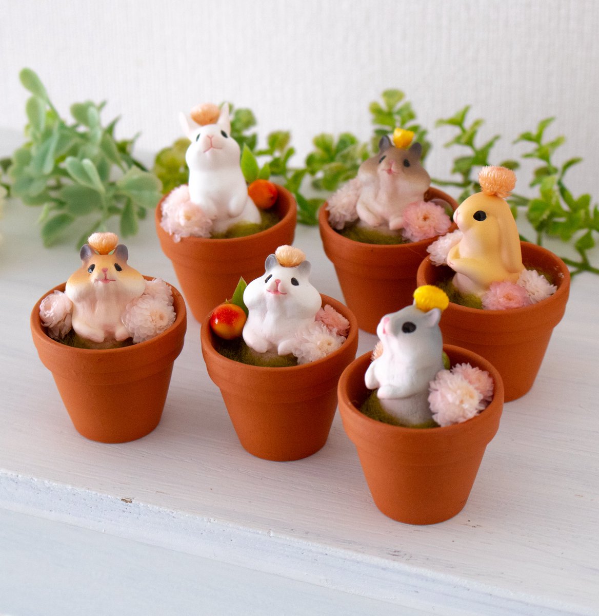 植木鉢からハムちゃんとうさちゃんが発芽しましたので、お好みの子を