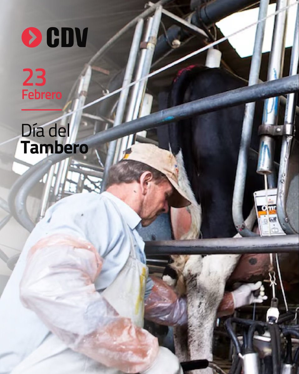 Laboratorio CDV tweet media