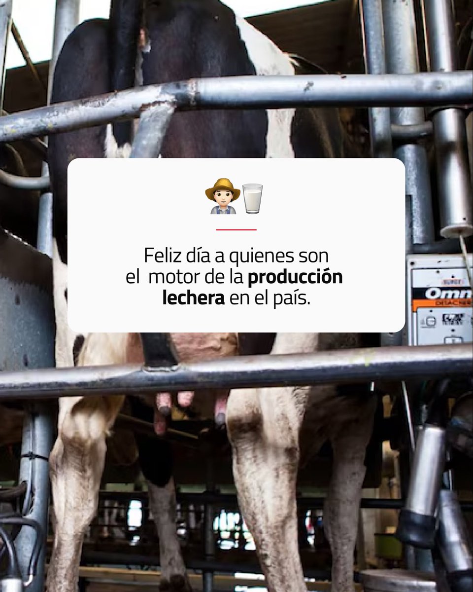 Laboratorio CDV tweet media