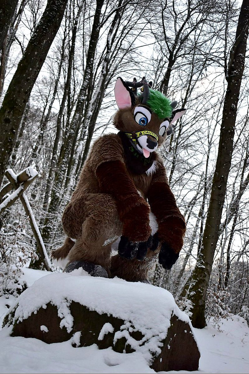 ShipoTheDeer tweet media