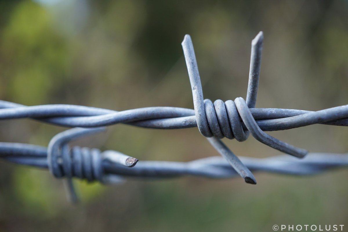 photo_lust's tweet photo. #MacroMonday
#Stacheldraht #barbedwire https://t.co/MN7xVbOz1I