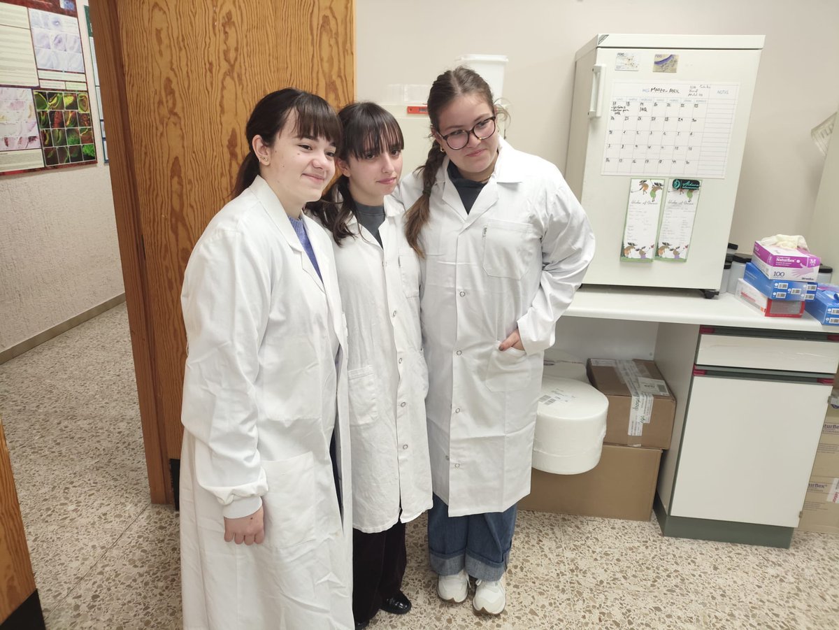 Salesianos Ourense tweet media