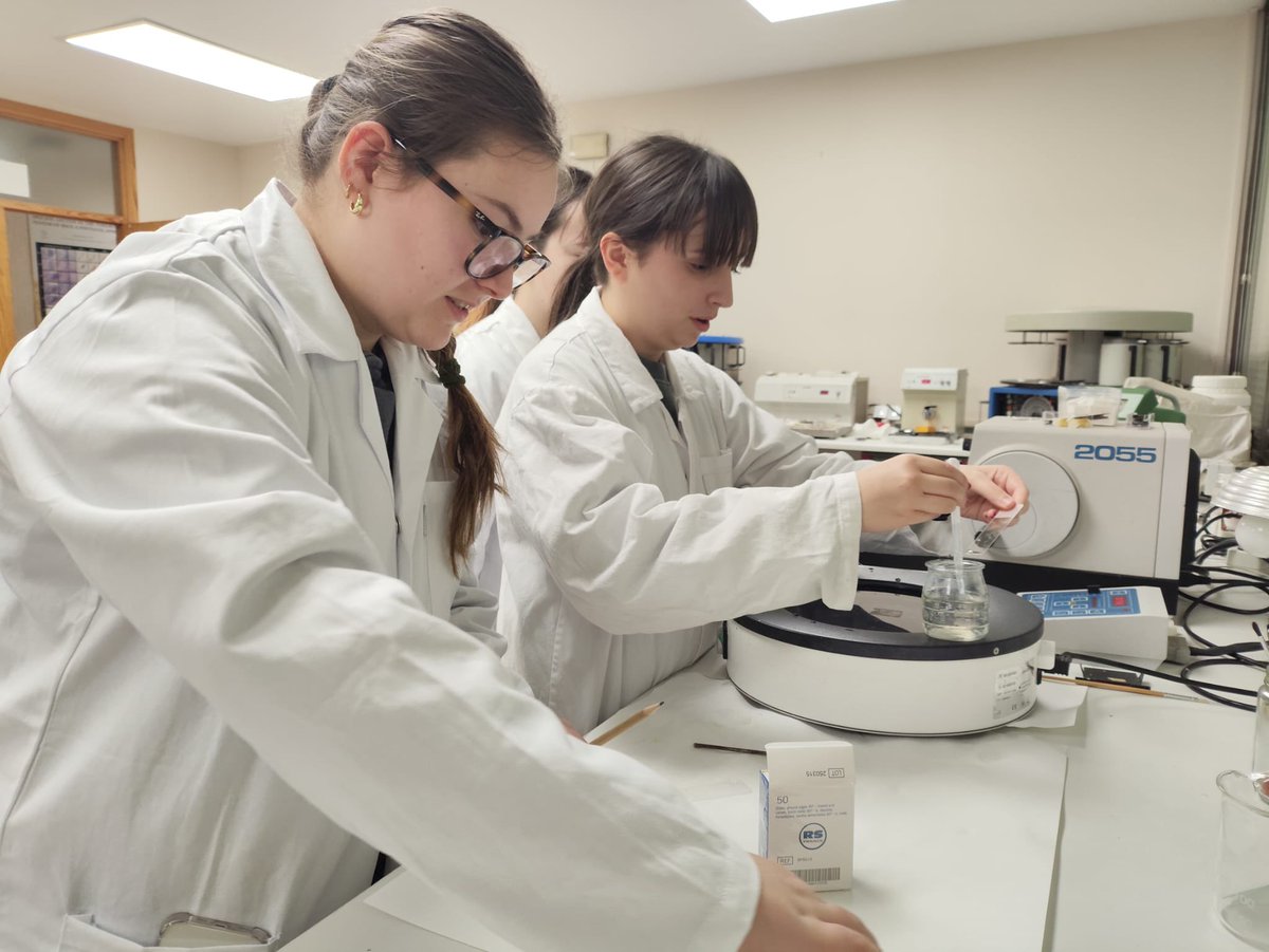 Salesianos Ourense tweet media