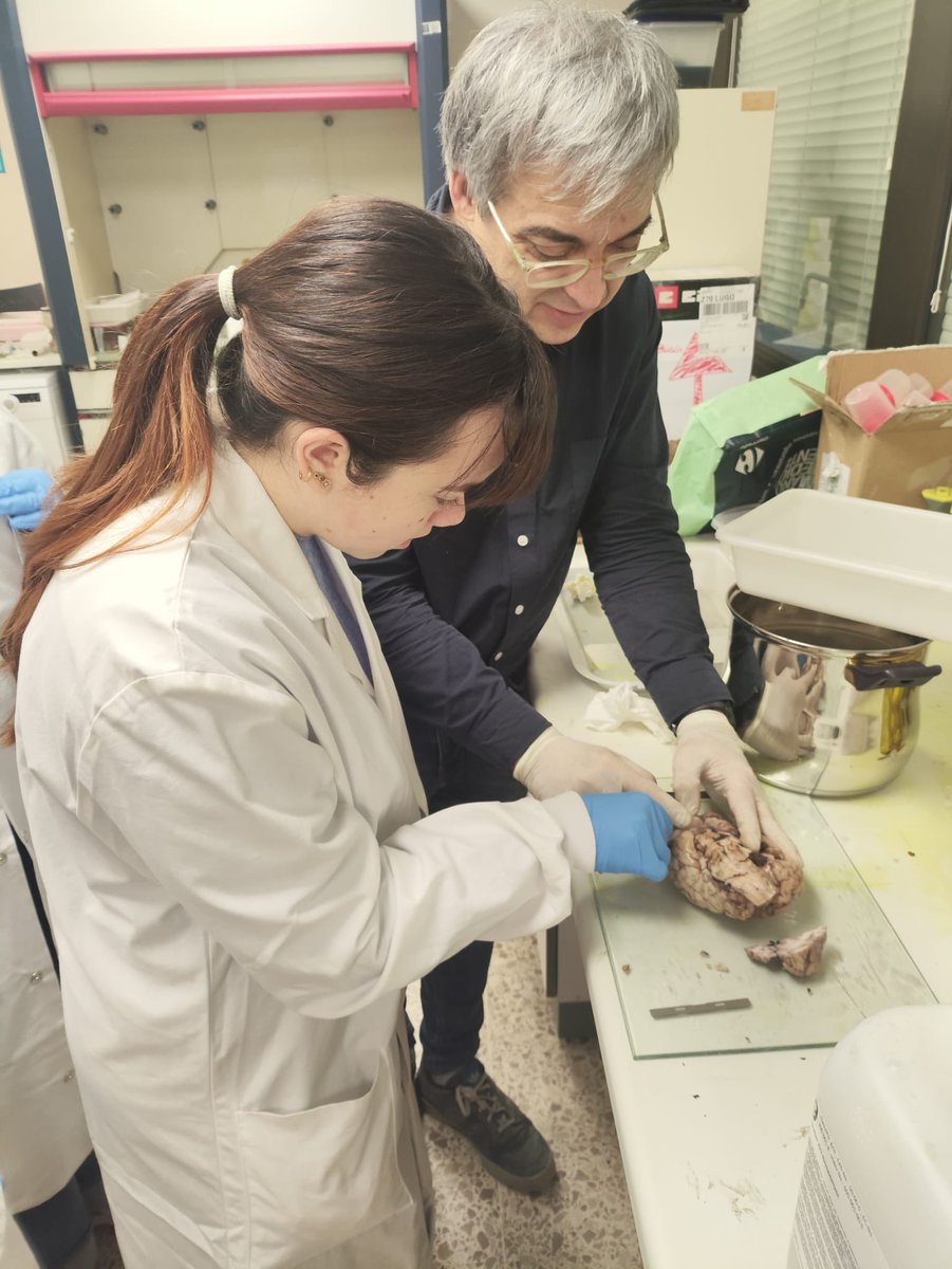 Salesianos Ourense tweet media