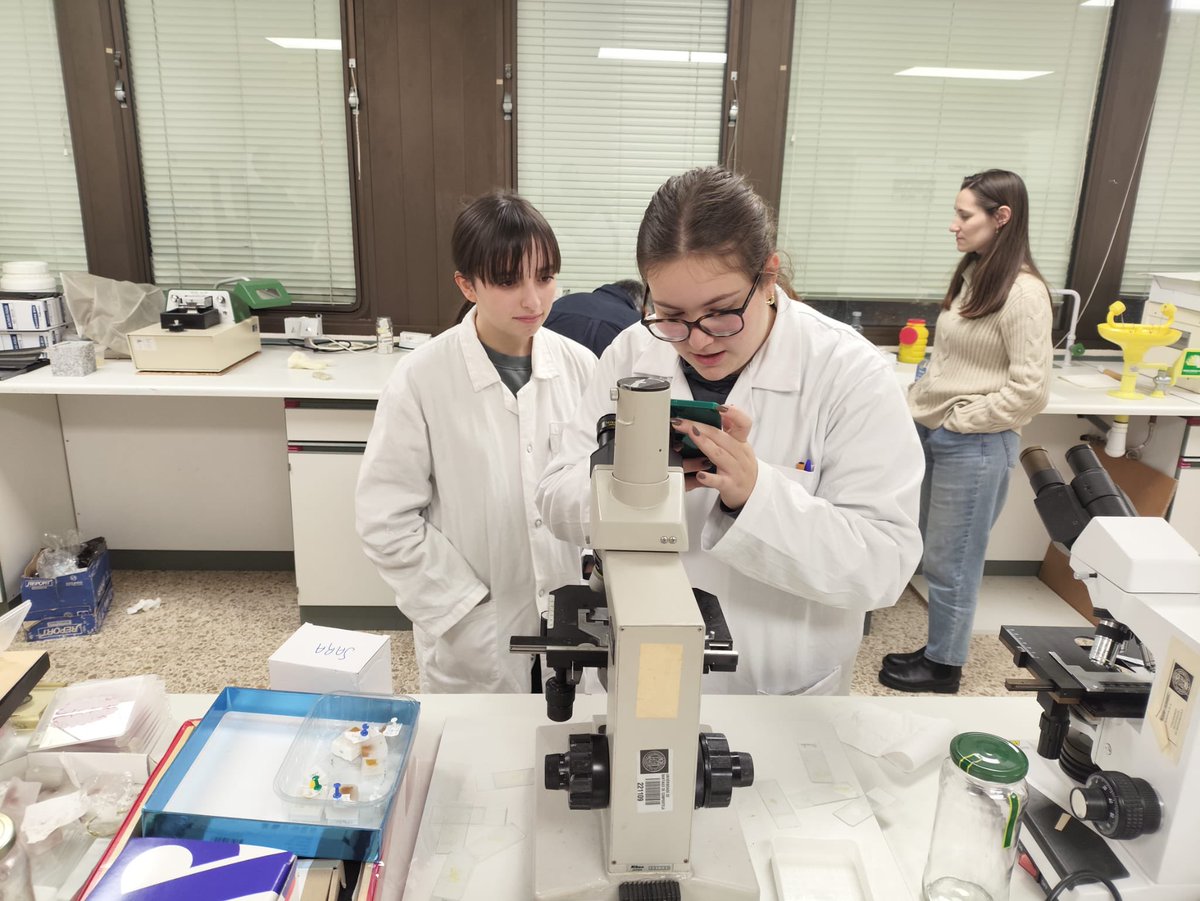 Salesianos Ourense tweet media