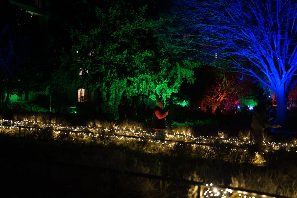 Camden Council tweet media