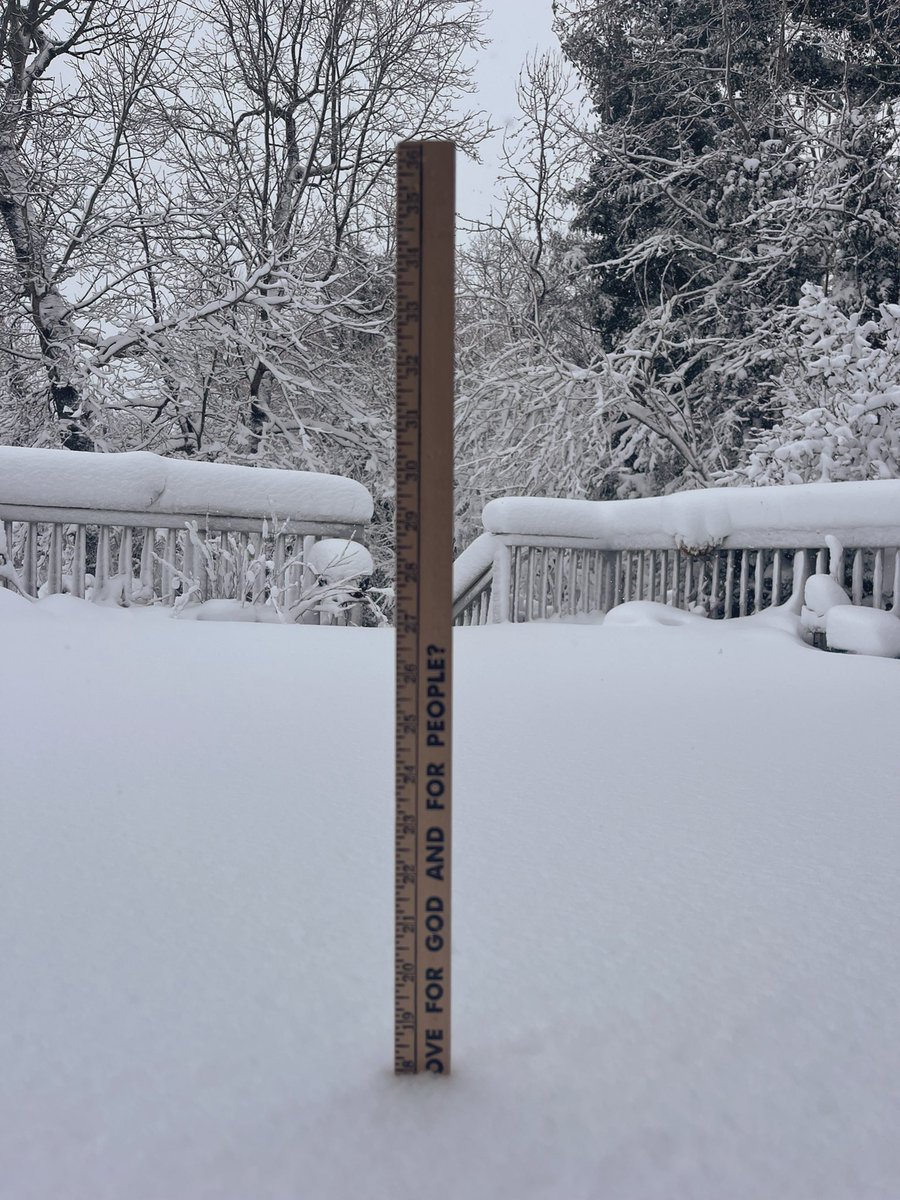 Michael Valella tweet media