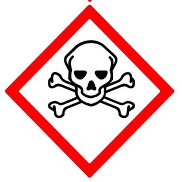 Pirat_Nation 🔴 tweet media