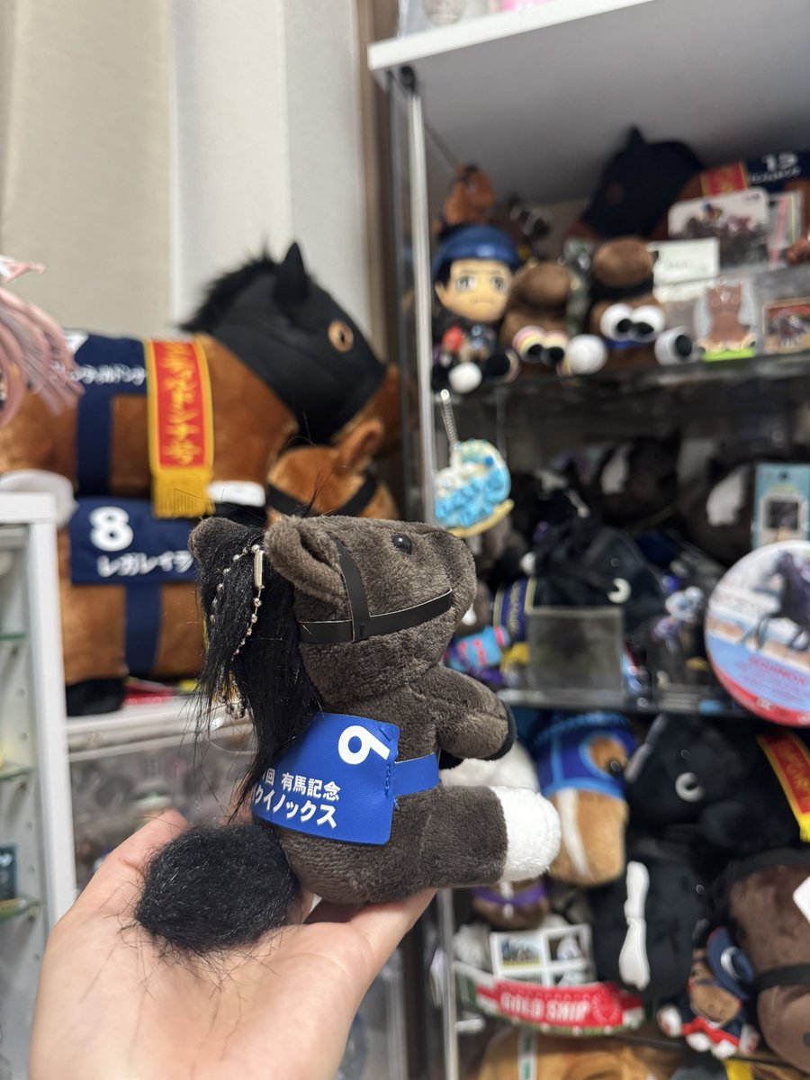 無くした有馬記念ゼッケンのイクイノックスぬいぐるみ 無事に買い戻し