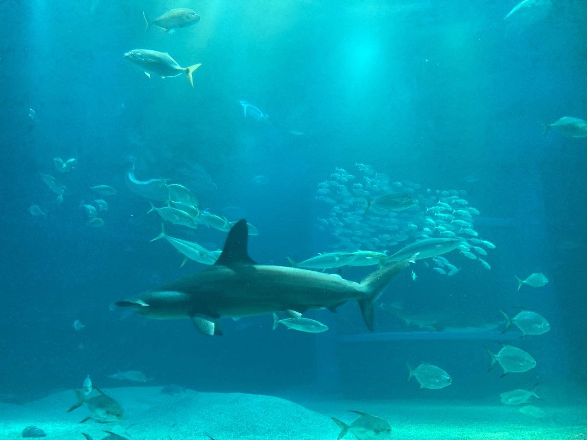 さんえ tweet media