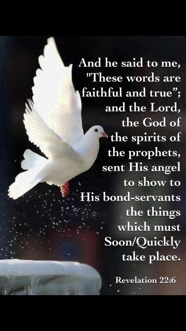 Ccangelsing's tweet image. The Revelation #Words #Instructions
of #Jesus Christ,
Whom is YESHUA,
The Mashiach #Messiah 

which God #TheFATHER
gave Him #Jesus

to show to His bond-servants, 
=dedicated loyal obedient Followers

the things 
which must soon #Quickly take place; 
-WHEN these things happen,