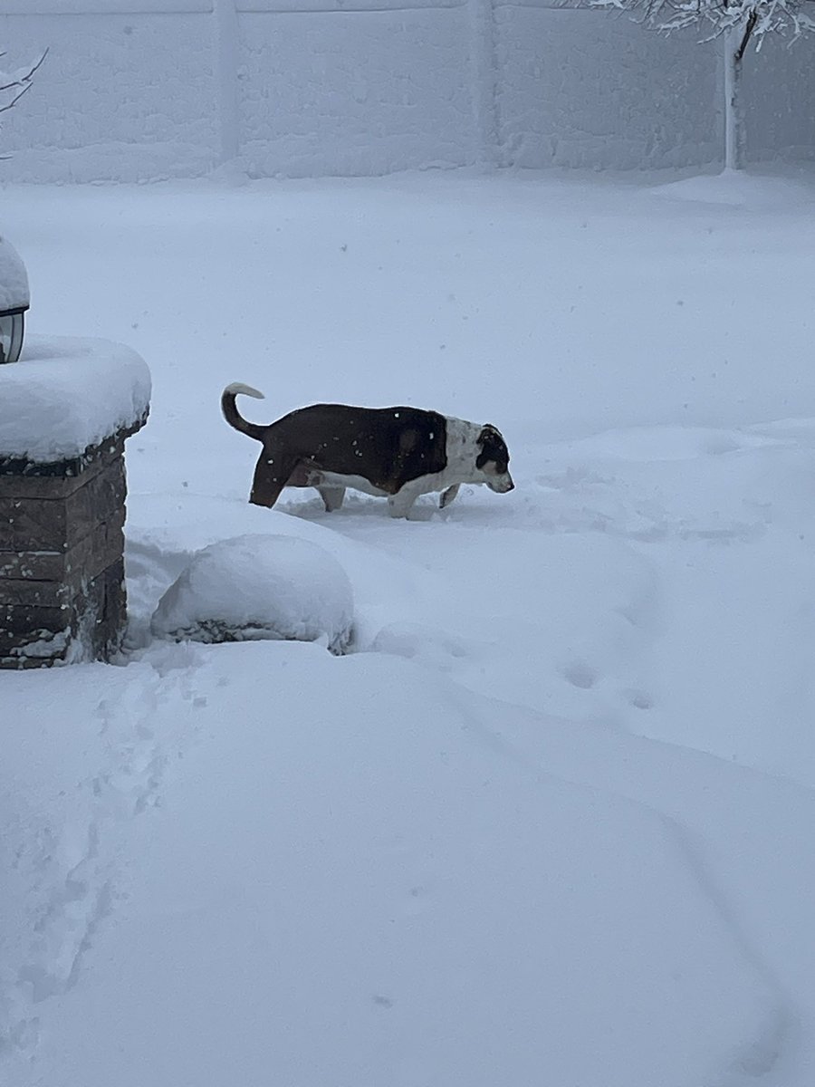 Eric Klaiber tweet media