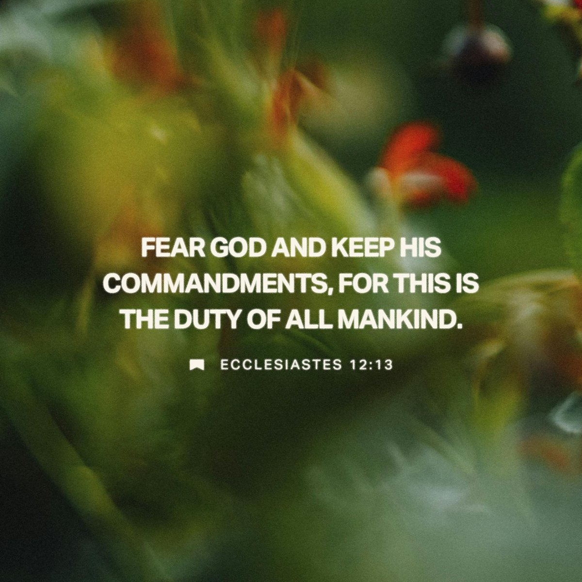 YouVersion Bible App tweet media