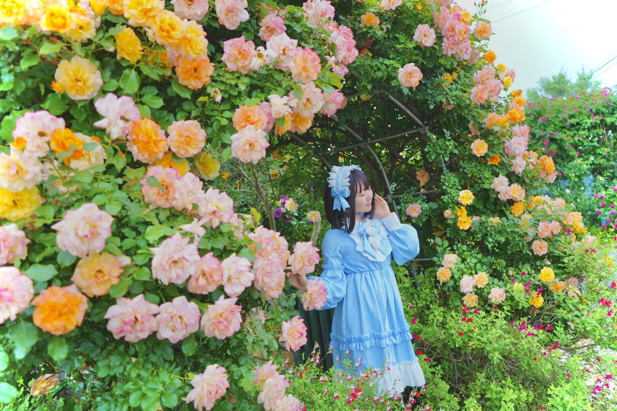 TTT2508's tweet photo. #3連休はフォロワーさんが増えるらしい
栃木で活動している被写体のSAKURAです🌸

栃木ならではの広大なロケーションを活かしたロケ撮影を中心に活動しています。

栃木×大自然×ポートレート

四季折々の栃木の景色を一緒に楽しみましょう〜✨

#カメラマンさんと繋がりたい https://t.co/oRKcY3tiTi