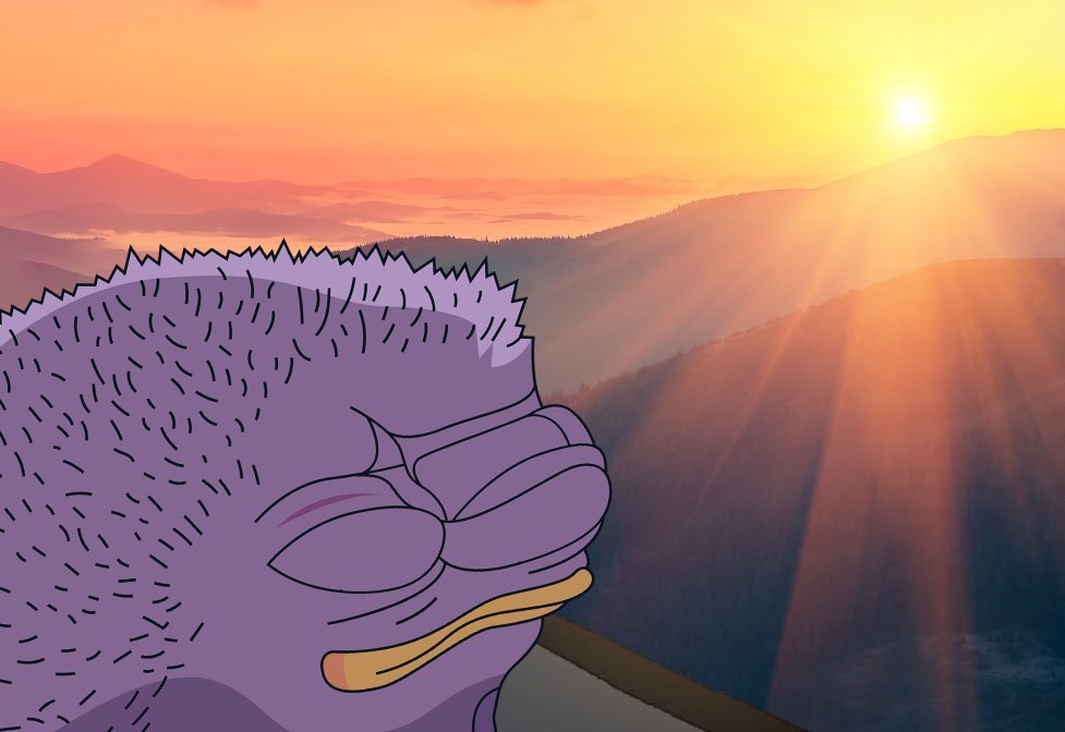 BlockNads (explorer arc) tweet media