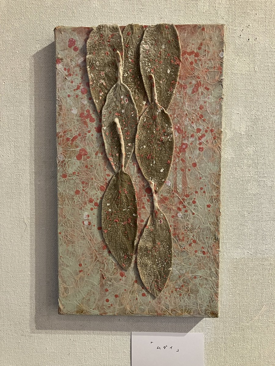 soramimi69rey's tweet photo. 植物的フカカチ〜個展のようなもの4〜終了致しました!ご来場ありがとうございました‼️
また精進致しますーー😌✨
#soramimi
@kissaframe https://t.co/qNVGQL7oOm