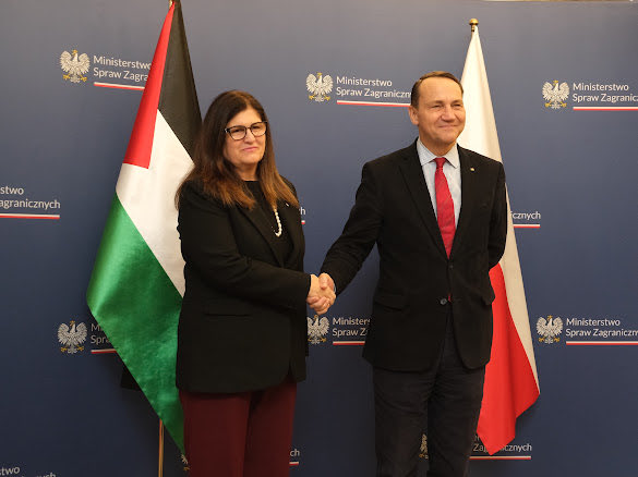 Mahmoud Khalifa tweet media