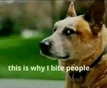 Martin MacDonald tweet media